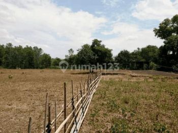 Tanah Di Desa Benteng Gajah Tanralili Maros
