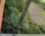 thumbnail-anda-berminat-anda-serius-hrga-nego-saja-rumah-di-foresta-ada-kolam-renangnya-14