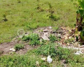 Tanah Munggu- seseh  20 are SHM zone kuning.