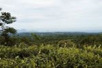 thumbnail-tanah-kebun-teh-pemandangan-bagus-di-bojong-purwakarta-3