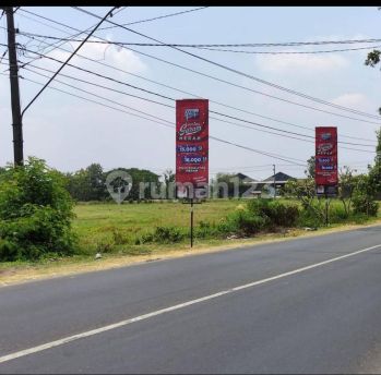 Tanah Strategis Pinggir Jln Propinsi  Shm - Sertifikat Hak Milik