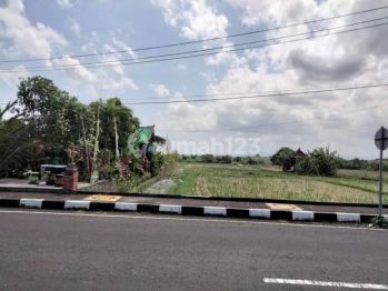 Tanah Dekat Dengan Objek Wisata Tanah Lot Jalan Utama