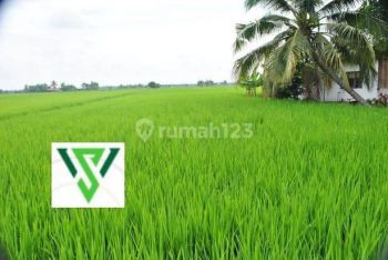 Tanah kavling murah 11jt/m wisata Bukit Mas Royal Residence