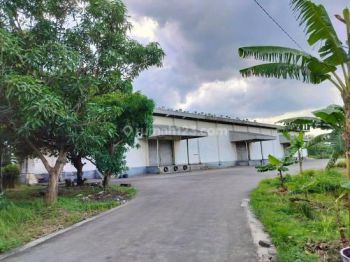 Gudang di Ds. Kadu Jaya, Bitung - Tangerang., Tangerang 2.340 m Bagus Hak Guna