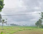 thumbnail-tanah-view-sawah-cantik-lingkungan-resort-dan-villa-4