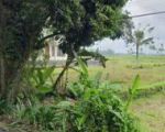 thumbnail-tanah-view-sawah-cantik-lingkungan-resort-dan-villa-8