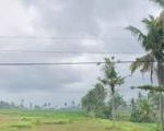 thumbnail-tanah-view-sawah-cantik-lingkungan-resort-dan-villa-3