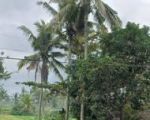 thumbnail-tanah-view-sawah-cantik-lingkungan-resort-dan-villa-1