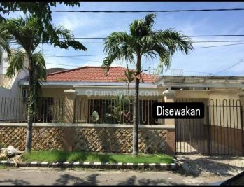 Disewakan Rumah Kertajaya Indah Hadap Utara Surabaya