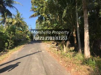 Tanah Dijual Moyudan, Sleman Dekat Smk N 1 Nanggulan