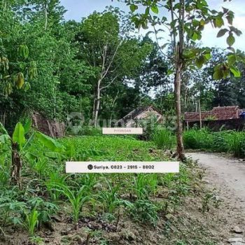 Tanah Jogja Sleman 1jutaan Dekat Griya Tamansari