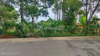 Tanah samping jalan raya berpapasan 2 mobil