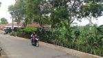 thumbnail-tanah-samping-jalan-raya-berpapasan-2-mobil-1