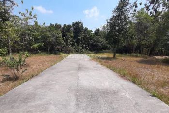 Tanah Murah Selatan Kampus Umy Jogja, Lingkungan Cluster