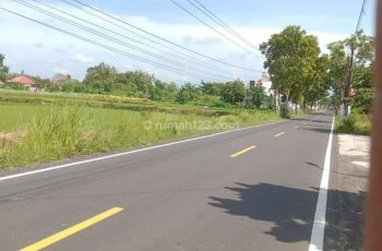 Jual Tanah Luas 1230m Lebar 31m Lokasi Kalasan Sleman Yogyakarta