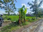 thumbnail-tanah-sawah-samping-perumahan-cluster-di-tasikmadu-karanganyar-hr-1