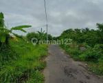 thumbnail-dijual-tanah-shm-5-are-lokasi-gianyar-2