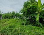 thumbnail-dijual-tanah-shm-5-are-lokasi-gianyar-1