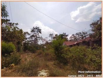 Jual Tanah Kalasan Dekat Candi Sambi Sari