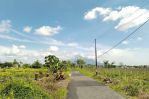 thumbnail-selatan-lapangan-klidon-tanah-istimewa-view-merapi-dekat-uii-1