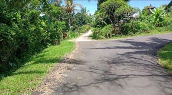 Dijual Tanah Kebun Kopi Dan Durian Murah Di Tabanan Pupuan Bali