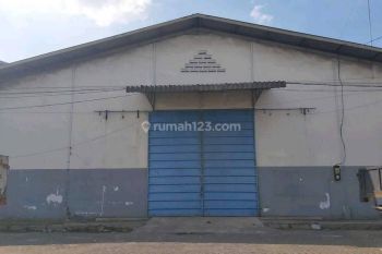 Gudang di Margomulyo Antropolis, Surabaya