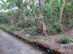 thumbnail-dijual-tanah-jogja-utara-10-meter-dari-jalan-pandanaran-sleman-8-menit-ke-uii-6