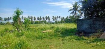 Tanah View Sawah Bhanuswari Gianyar Bali