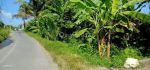 thumbnail-tanah-view-sawah-bhanuswari-gianyar-bali-4