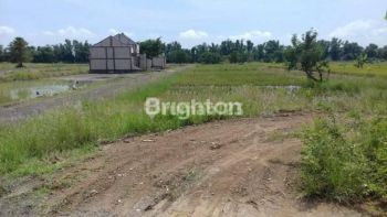 Tanah daerah Kedamean, Greaik