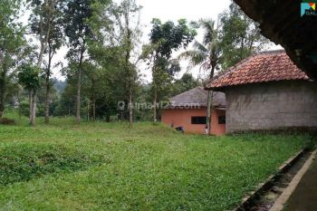 Tanah murah bonus villa  sukajaya taman sari bogor