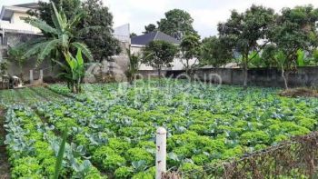 Ya Kali Ga Kuy Beli Tanah Yuk Di Setrasari Kulon Bandung Kota