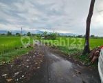 thumbnail-dijual-tanah-pinggir-pantai-di-singaraja-dekat-kota-7