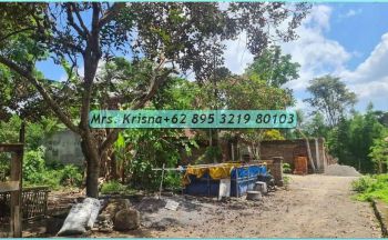 Butuh Cepat, Tanah Jogja, SHM Pekarangan, Jl. Palagan Km9, Sleman