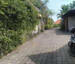 thumbnail-disewakan-tanah-155are-dekat-atlas-at-canggu-berawa-bali-8