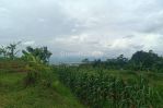 thumbnail-jual-tanah-kebon-ada-view-komplek-dpr-cileunyi-bandung-9