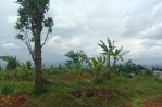 thumbnail-jual-tanah-kebon-ada-view-komplek-dpr-cileunyi-bandung-11