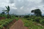 thumbnail-jual-tanah-kebon-ada-view-komplek-dpr-cileunyi-bandung-4