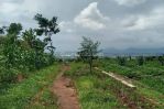 thumbnail-jual-tanah-kebon-ada-view-komplek-dpr-cileunyi-bandung-13