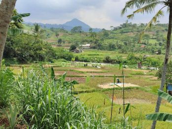 Tanah di jual bogor Ciherang pabuaran Sentul