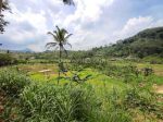 thumbnail-tanah-di-jual-bogor-ciherang-pabuaran-sentul-3