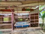 thumbnail-dikontrakan-murahh-rumah-baru-1-lantai-di-cianjur-asri-residence-8