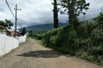 Tanah Luas dan Murah Subur Cocok Untuk Investasi di Malang