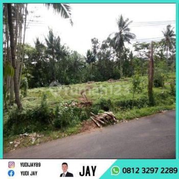 Tanah Pinggir Jalan Desa Cocok Untuk Berkebun