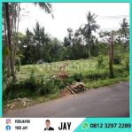 thumbnail-tanah-pinggir-jalan-desa-cocok-untuk-berkebun-0