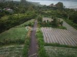 thumbnail-tanah-kavling-view-gunung-danau-batur-kintamani-7