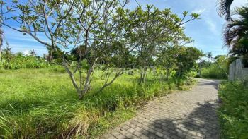 Tanah Kawasan Villa 10 Menit Ke Pantai Kedungu Dekat Canggu Bali