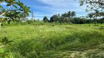 thumbnail-tanah-kawasan-villa-10-menit-ke-pantai-kedungu-dekat-canggu-bali-2