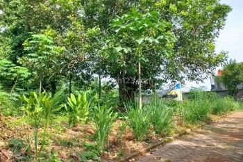 Tanah Murah Banyumanik Lokasi Strategis Dekat Rs Hermina