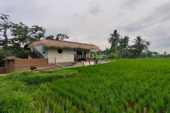 Villa Leasehold 25 tahun di Ubud view sawah dan jungle